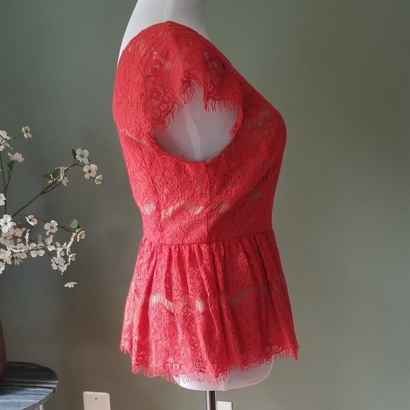 Anthropologie Katrina Lace peplum top - Picture 4 of 8